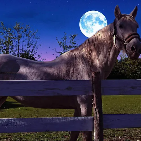 Κατάλυμα σε φάρμα Salas 137