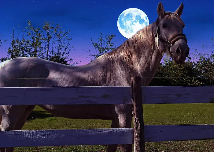 Κατάλυμα σε φάρμα Salas 137